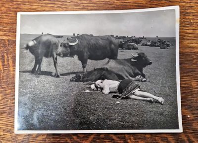 Снимка - Невена Дочева 1933 Снимка - Невена Дочева 1933