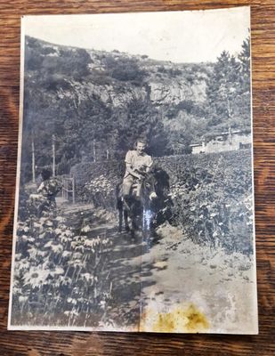 Снимка - Невена Дочева 1936 Снимка - Невена Дочева 1936