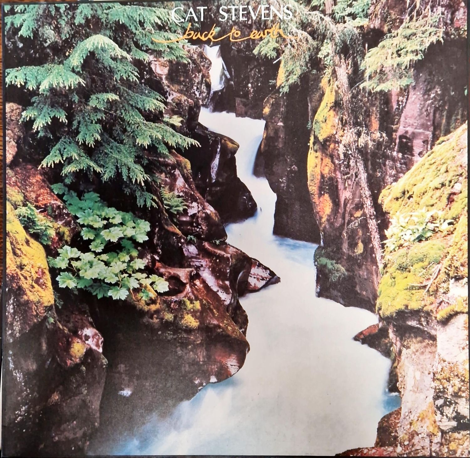 Cat Stevens - Back to Earth Cat Stevens - Back to Earth