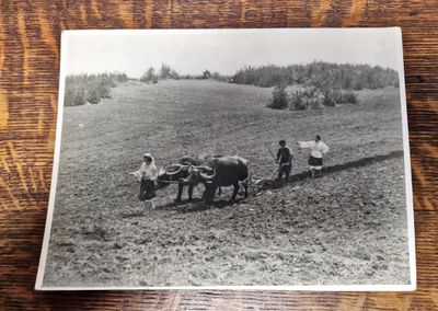 Плакат - Невена Дочева 1933 Плакат - Невена Дочева 1933
