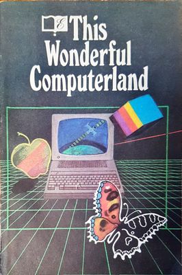 This Wonderful Computerland
