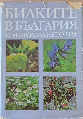 Билките в България и използването им