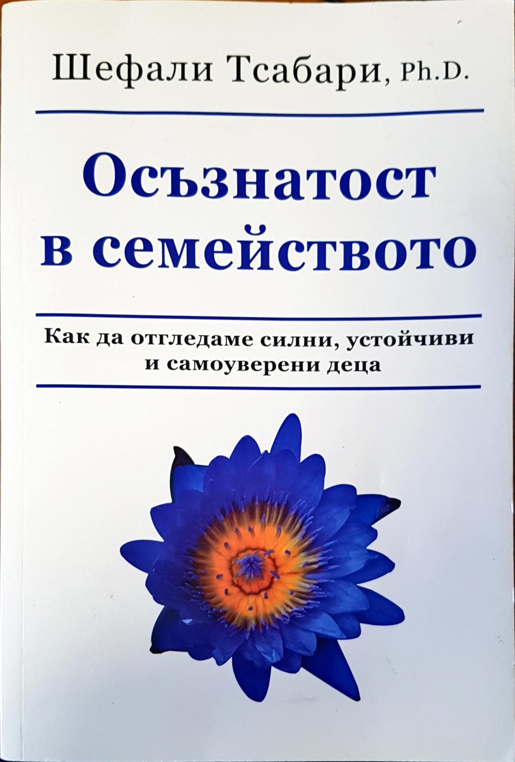 Осъзнатост в семейството Осъзнатост в семейството