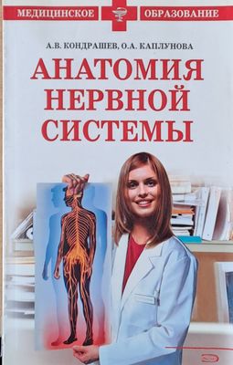Анатомия нервной системы
