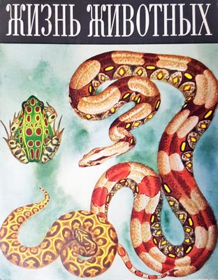 Жизнь животных Жизнь животных