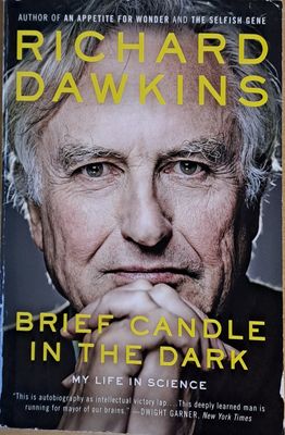 Brief Candle in the Dark