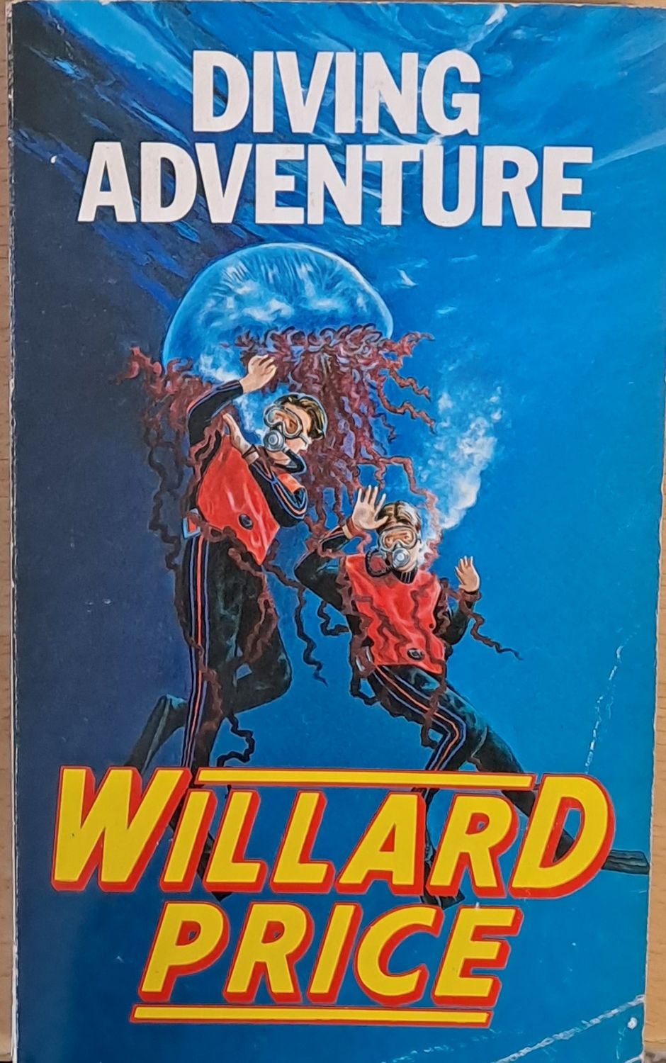 Diving Adventure