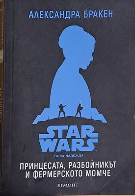 Принцесата, разбойникът и фермерското момче
