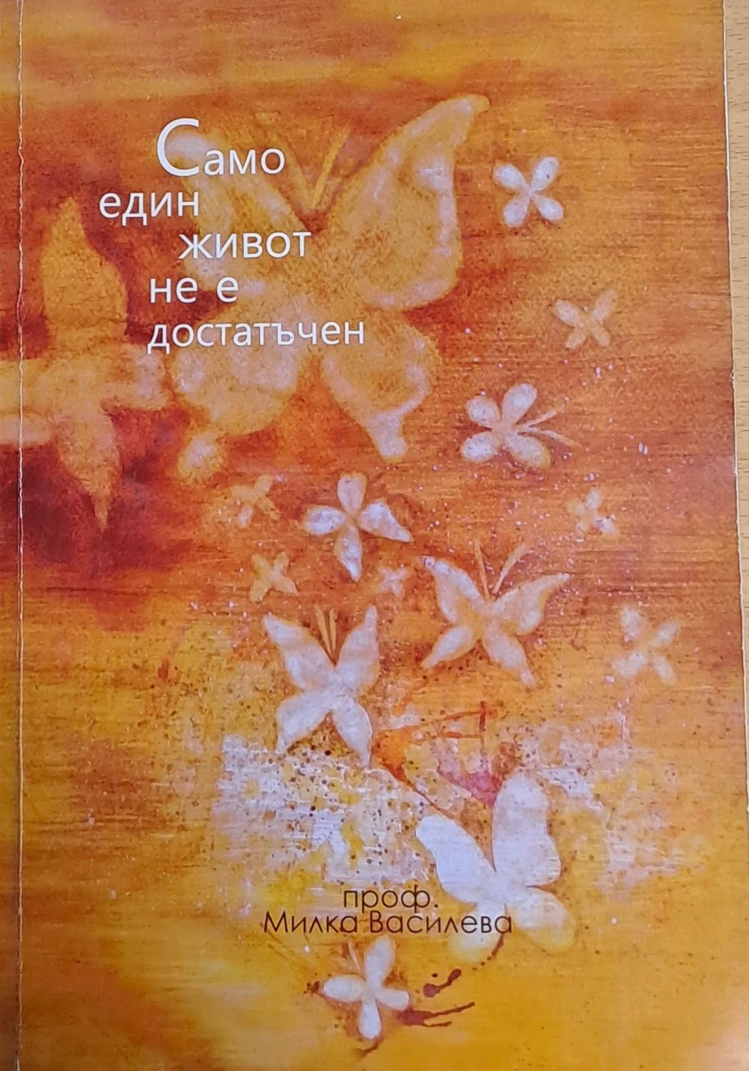 Само един живот не е достатъчен