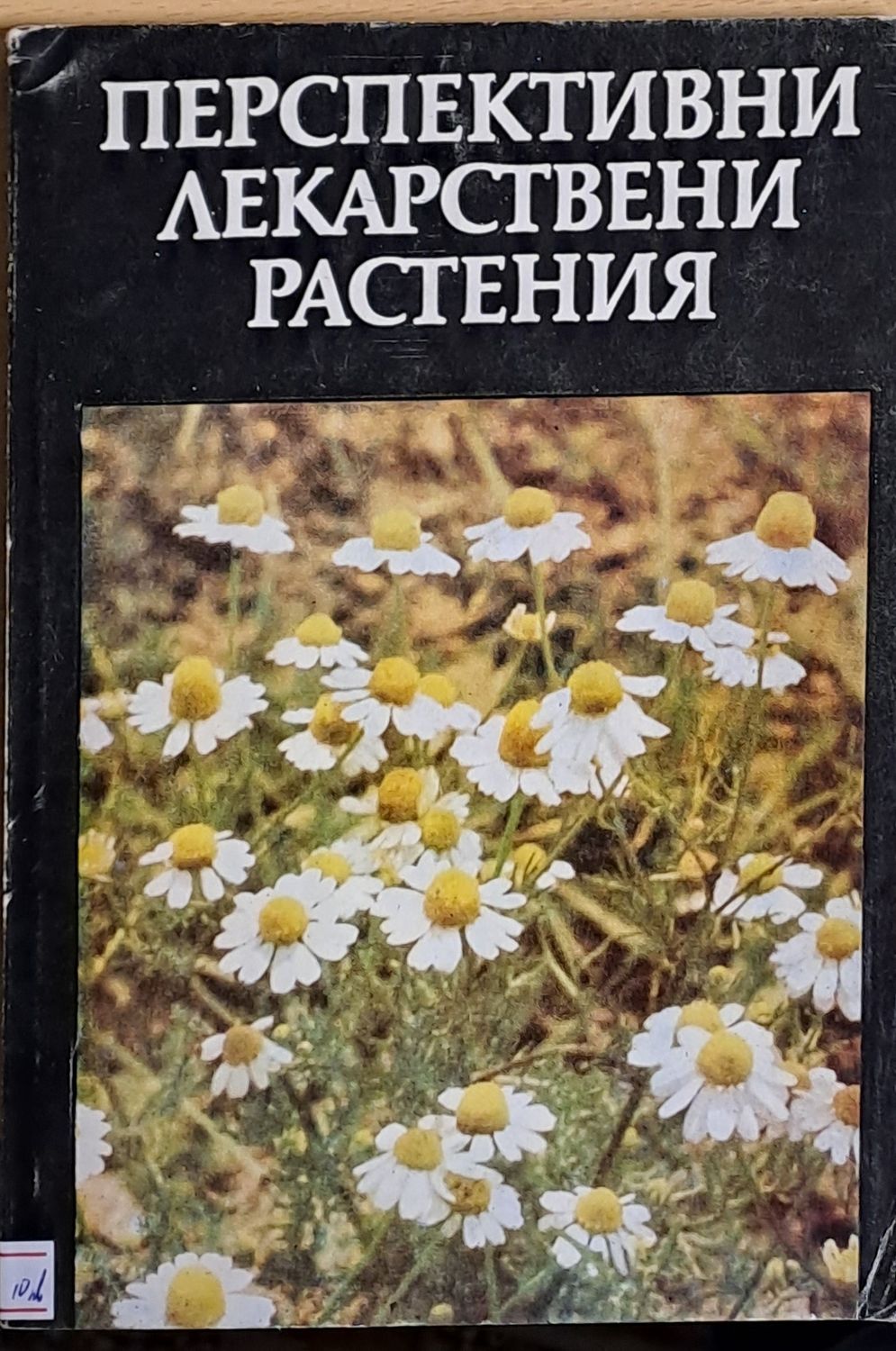 Перспективно лекарствени растения
