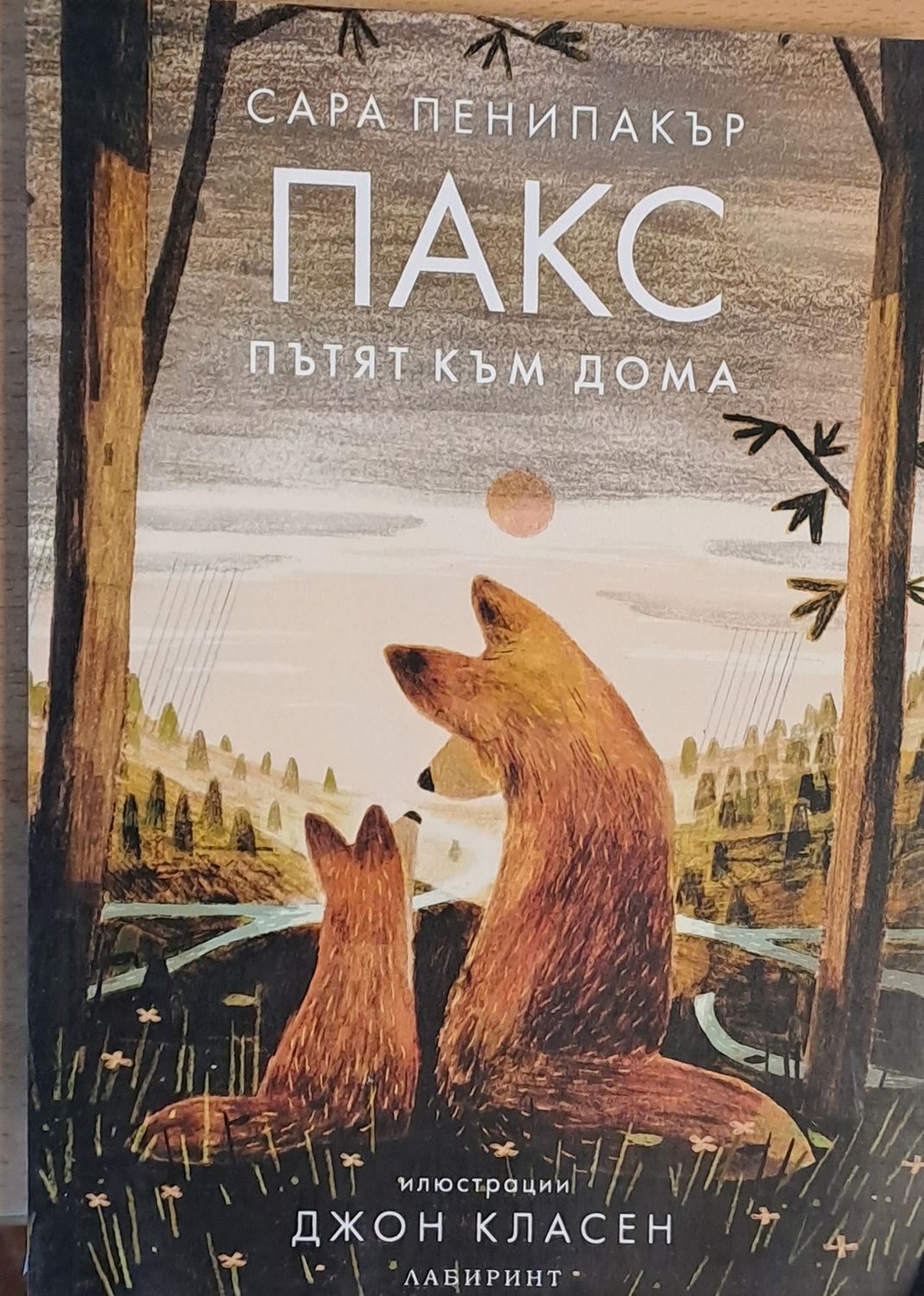 ПАКС Пътят към дома