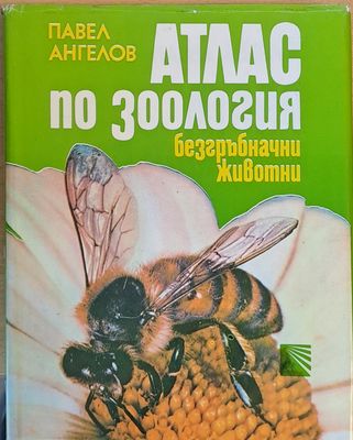 Атлас по зоология - безгръбначни животни