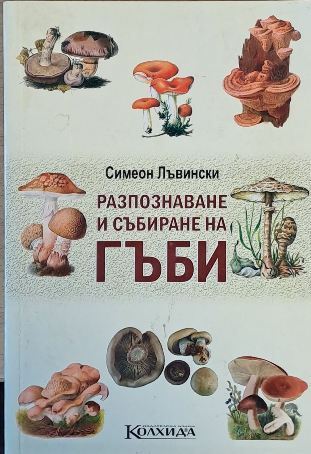 Разпознаване и събиране на гъби