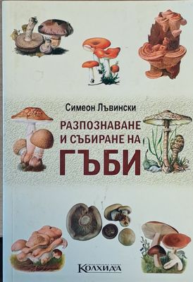 Разпознаване и събиране на гъби