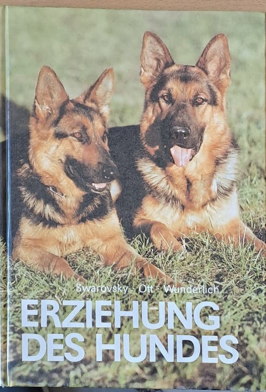 Erziehung des Hundes