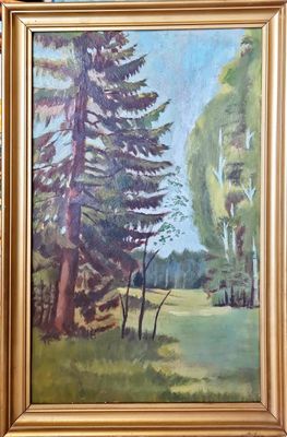 Картина върху фазер с рамка Картина върху фазер с рамка