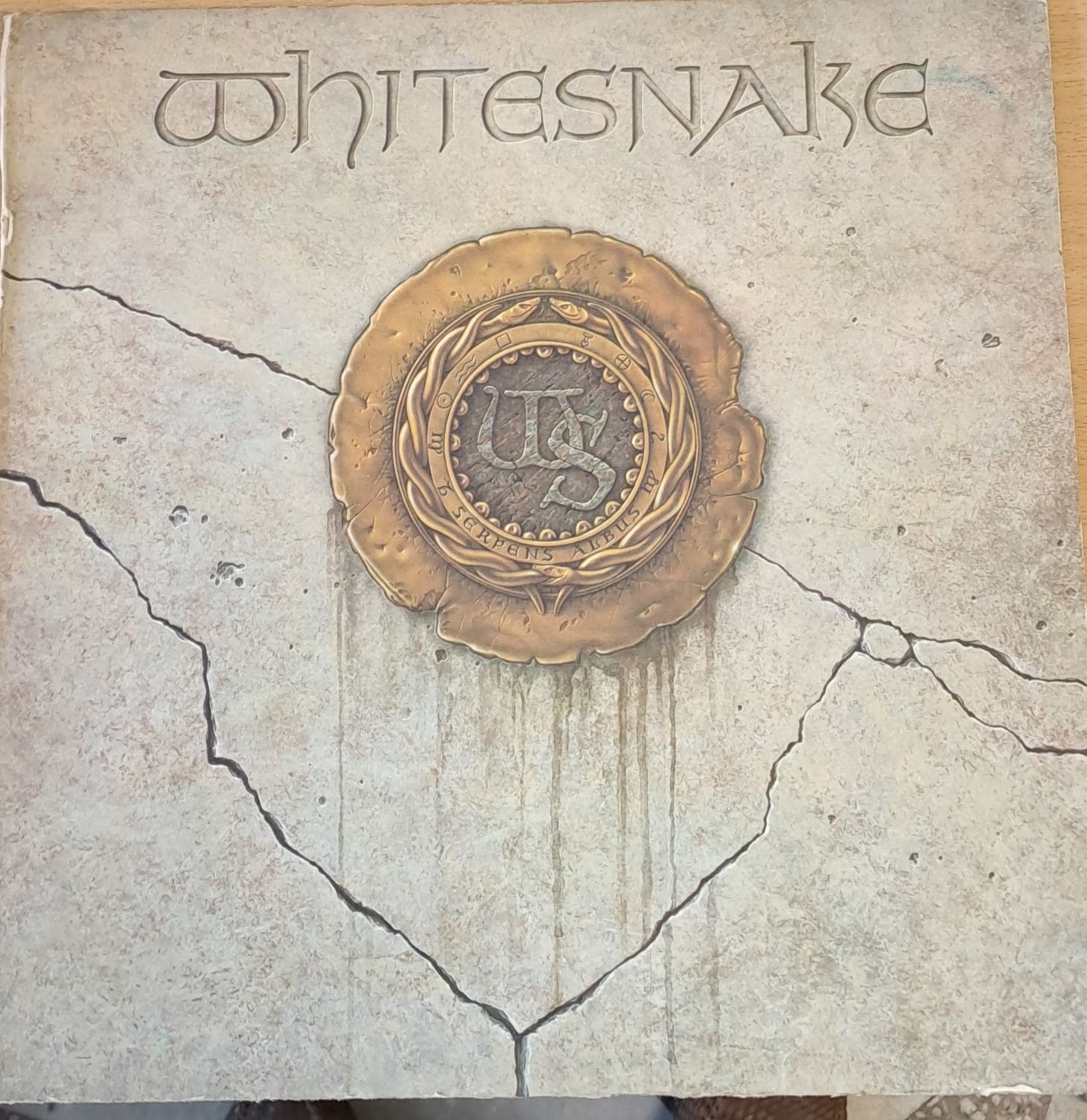 White snake White snake