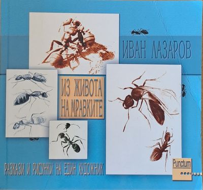 Из живота на мравките