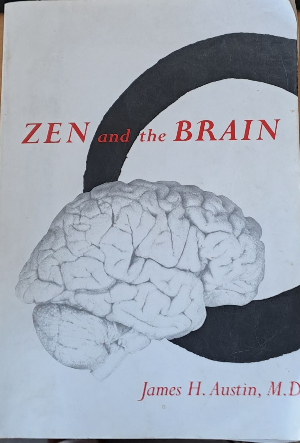 Zen and the Brain