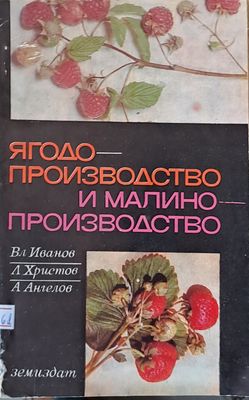 Ягодо-производство и малино-производство