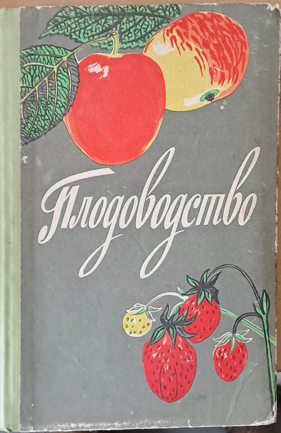 Плодоводство - Учебное пособие для ІХ-ХІ классов сельской средней школы
