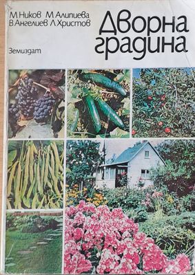 Дворна градина