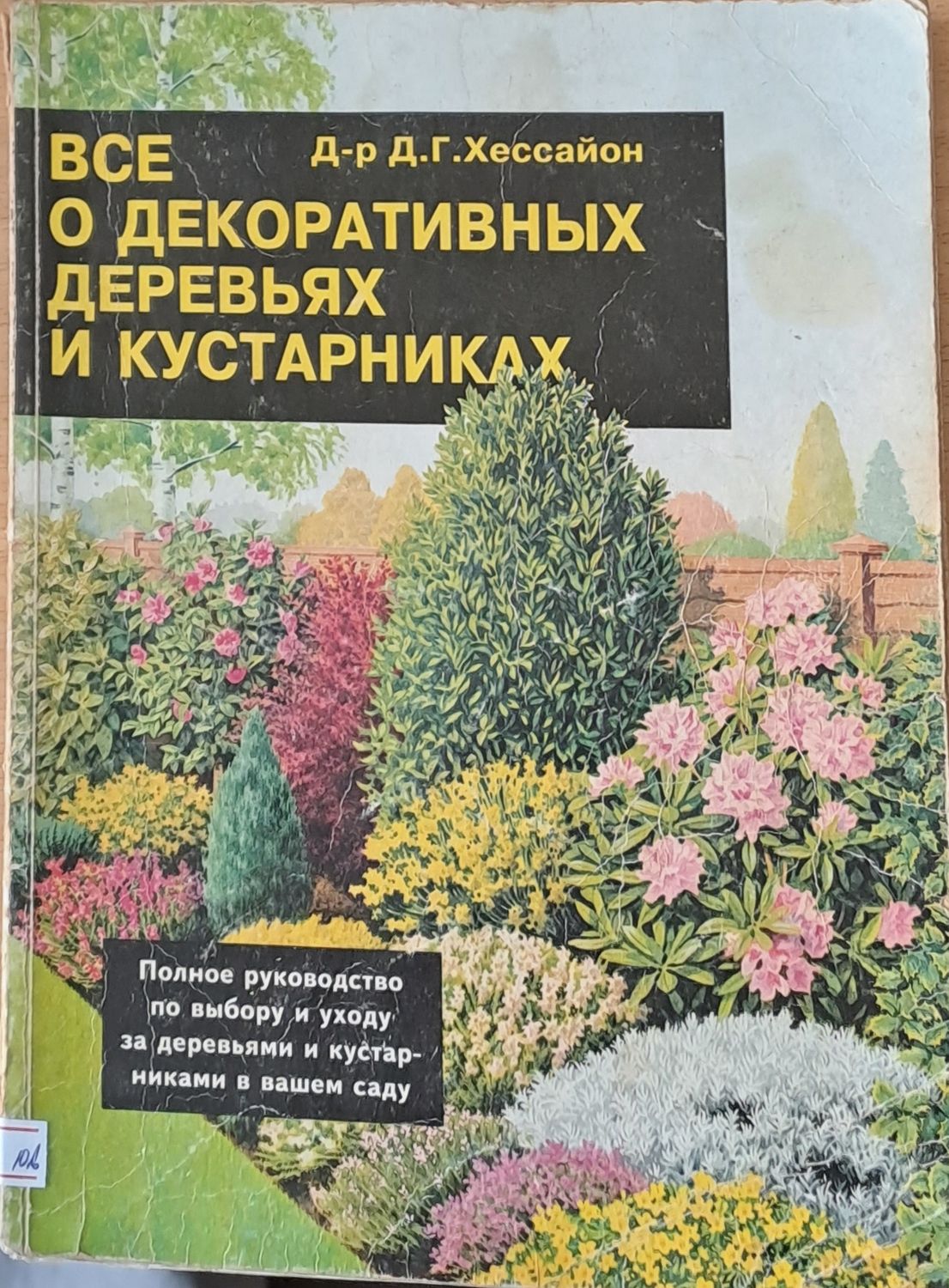 Все о декоративных деревьях и кустарниках