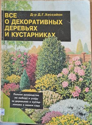 Все о декоративных деревьях и кустарниках