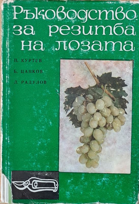 Ръководство по резитба на лозата