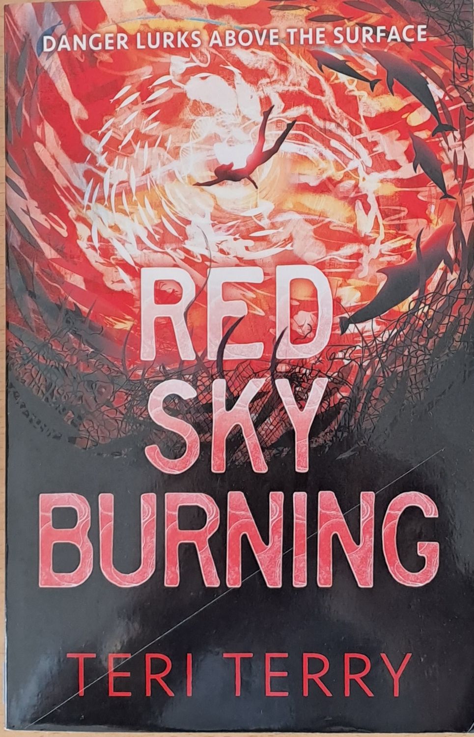Red Sky Burning