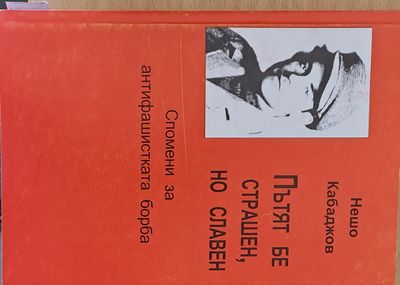 Пътят бе страшен, но славен. Спомени за антифашистката борба