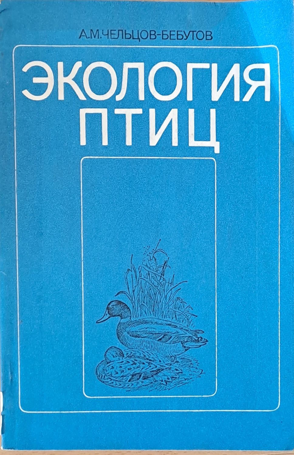 Экология птиц