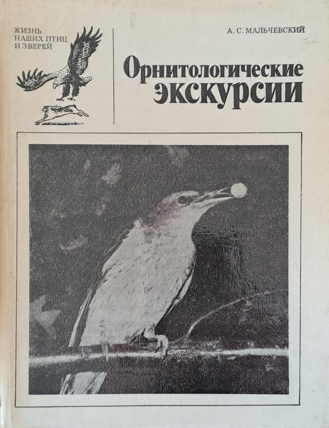 Орнитологические экскурсии
