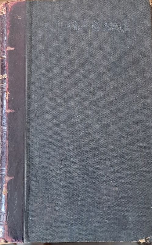 DIZIONARIO Francese-Italiano e Italiano-Francese