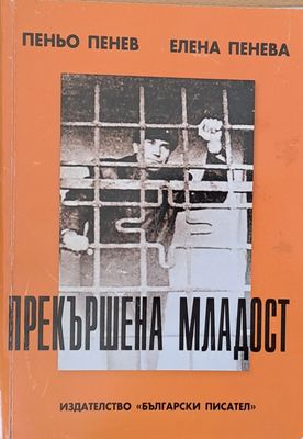 Прекършена младост