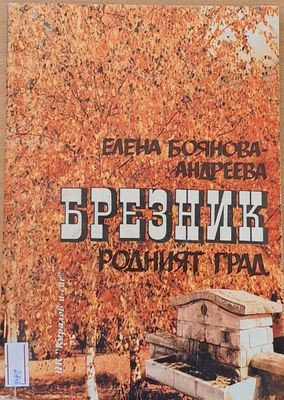 Брезник - родният град