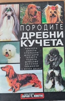 Породите дребни кучета