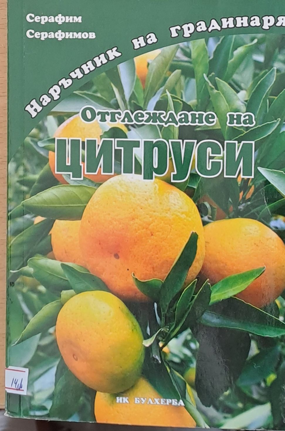 Отглеждане на цитруси Отглеждане на цитруси