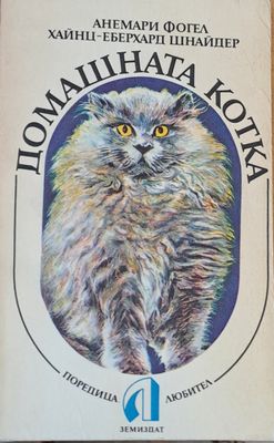 Домашната котка