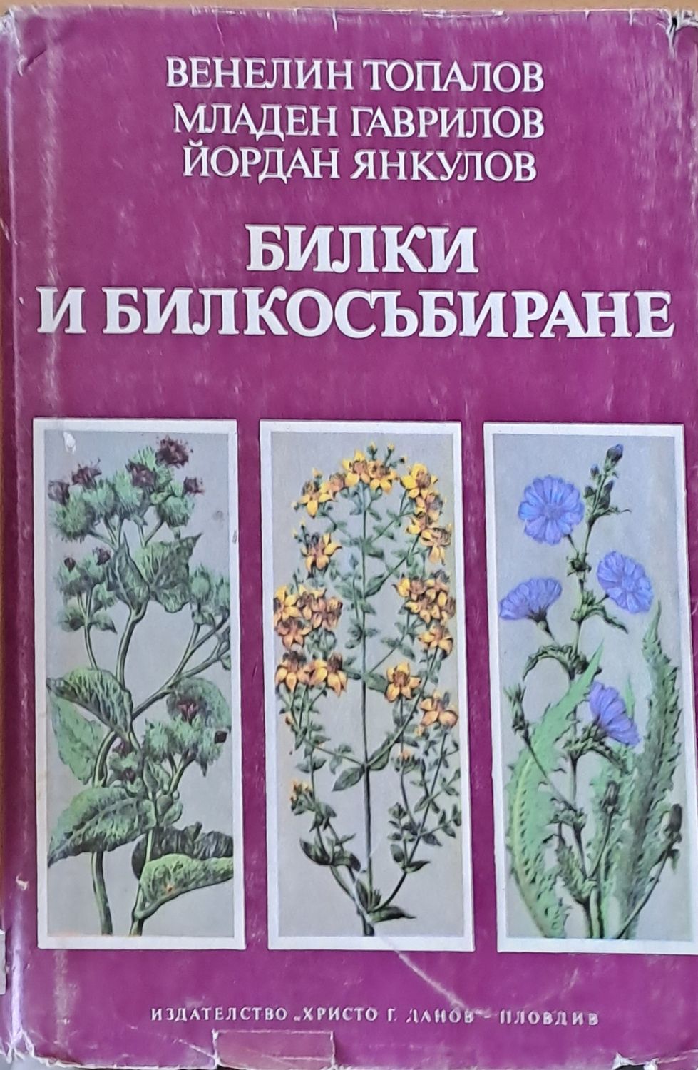 Билки и билкосъбиране