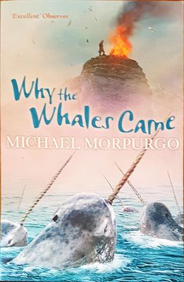 Why the whales came