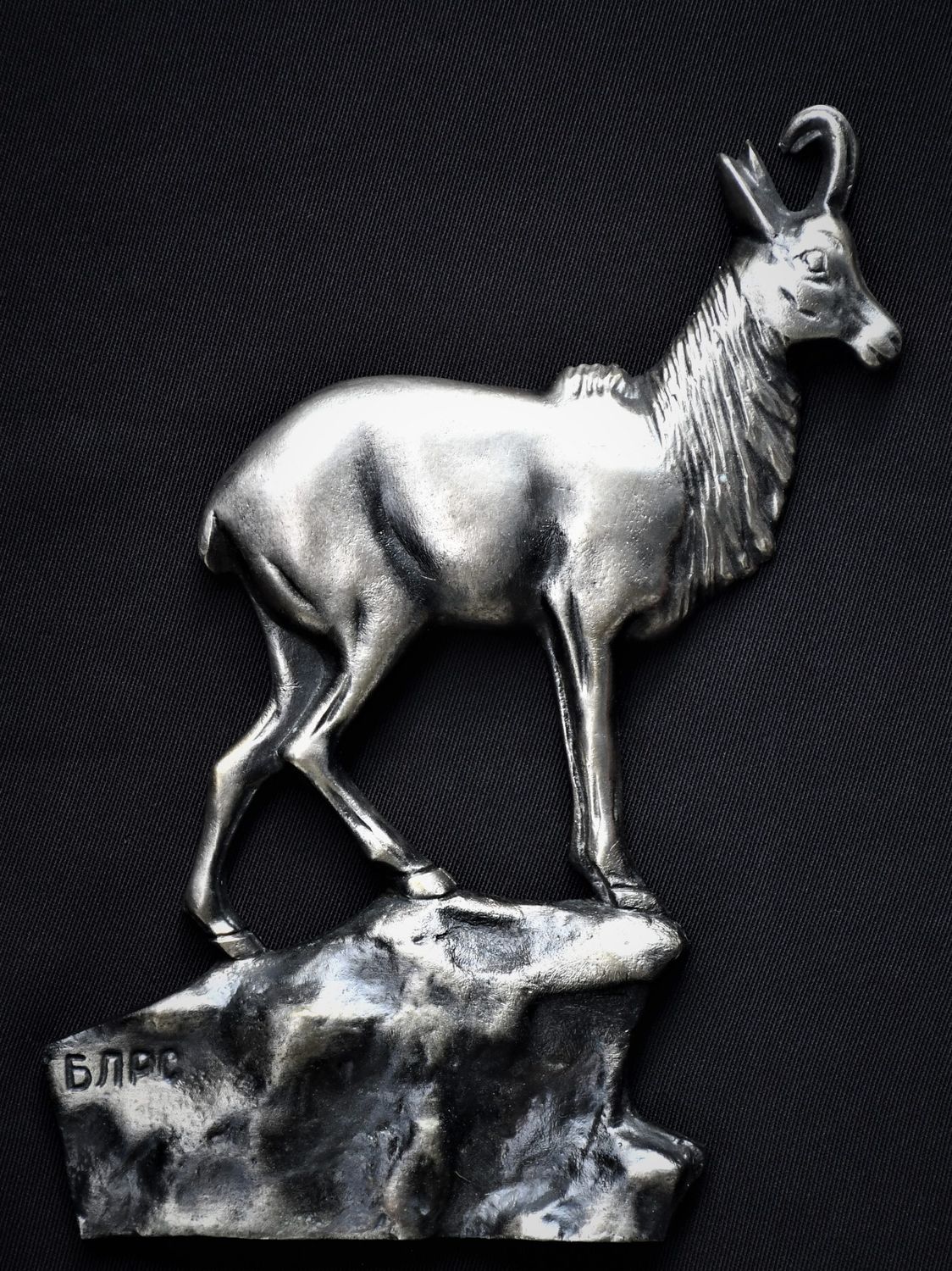 VIP подарък на БЛРС