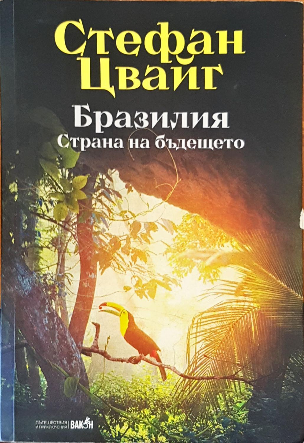 Бразилия старана на бъдещетето