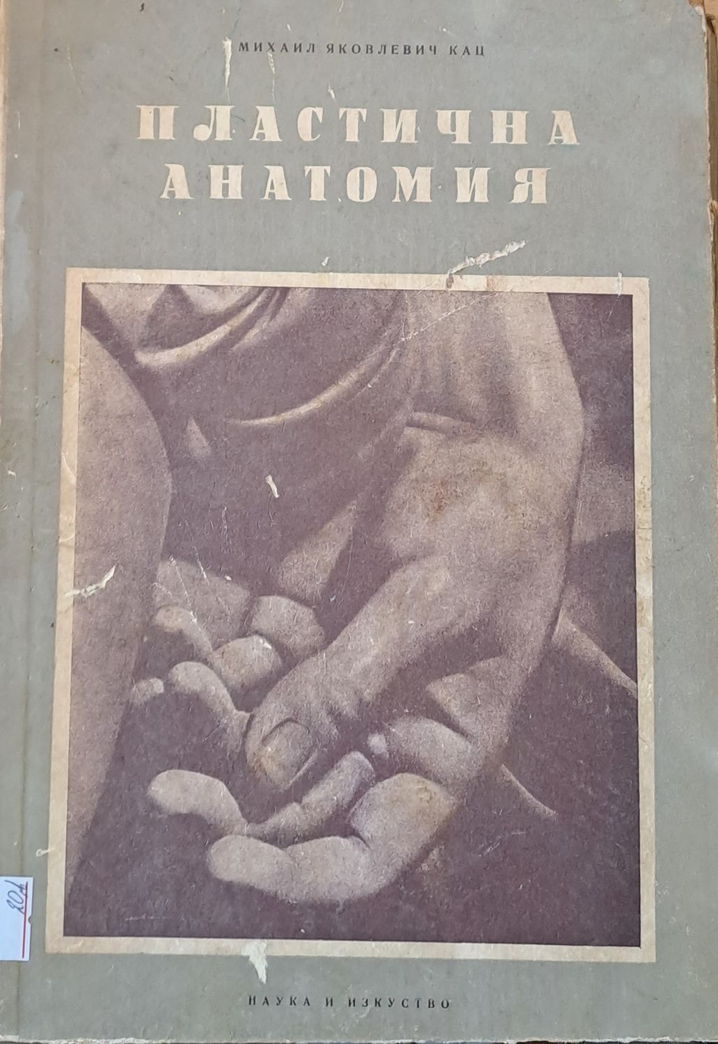 Пластична анатомия Пластична анатомия