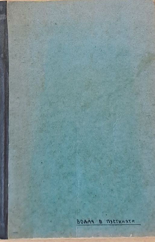 Водачъ въ пустинята