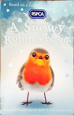 A snowy Robin Rescue