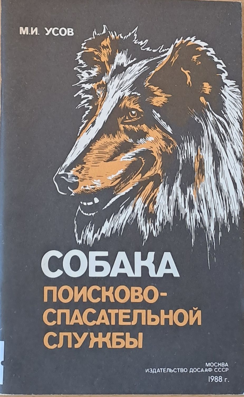 Собака поисково-спасительной службы