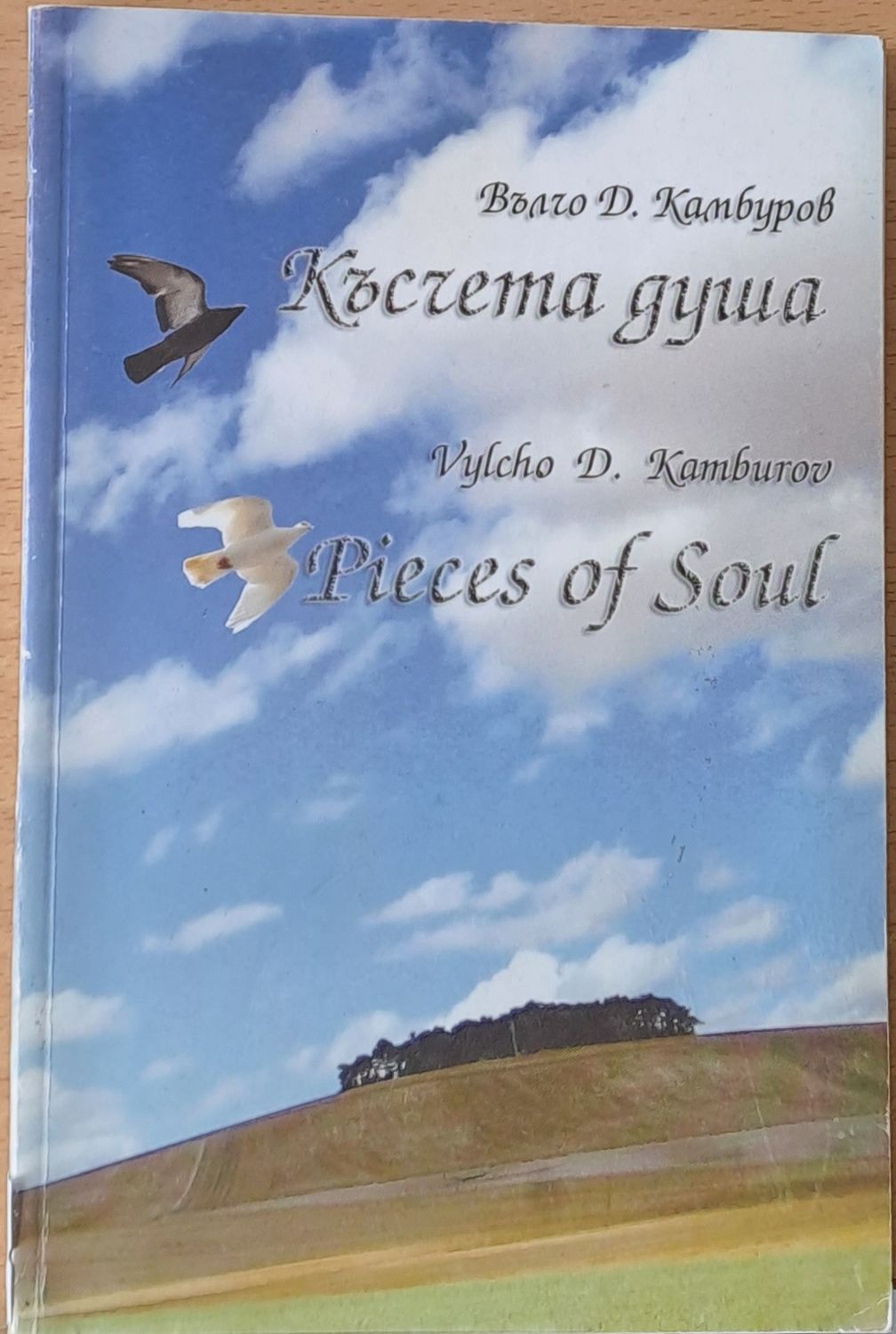 Късчета душа