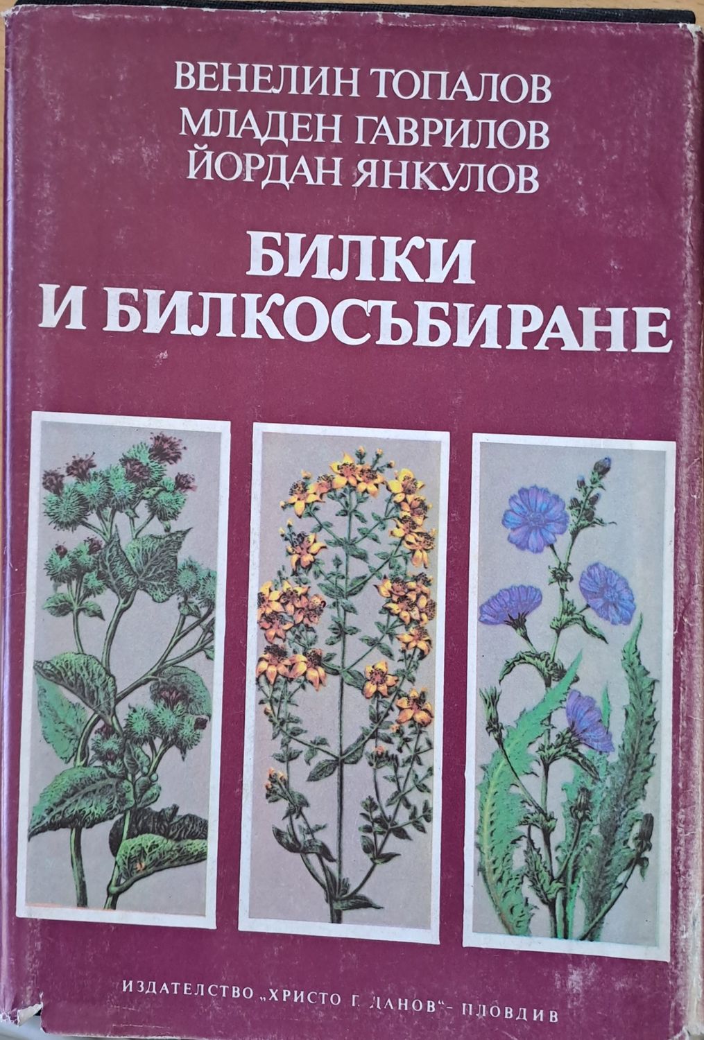 Билки и билкосъбиране