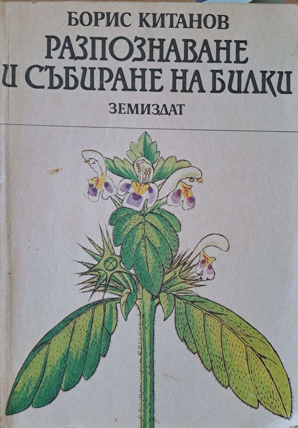 Разпознаване и събиране на билки Разпознаване и събиране на билки
